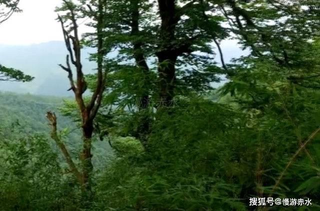 加快打造更具特色“水运江苏”!2023年江苏港航成绩单出炉