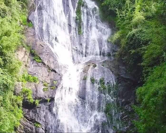 奥日与黑暗森林